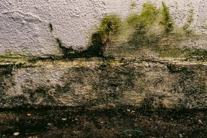 Quel est l'impact réel d'une maison humide sur la santé ?